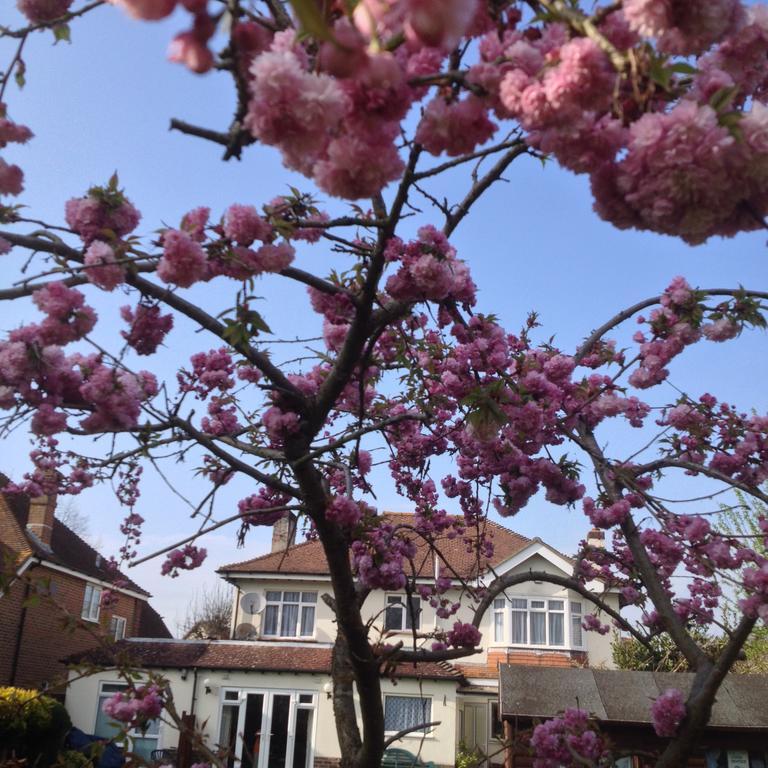 La B&B Chichester Bilik gambar